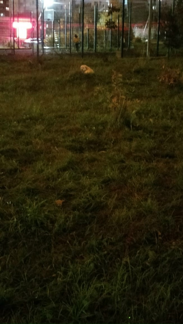 Добрый вечер, соседи! На детской площадке ул. Верхняя - ...