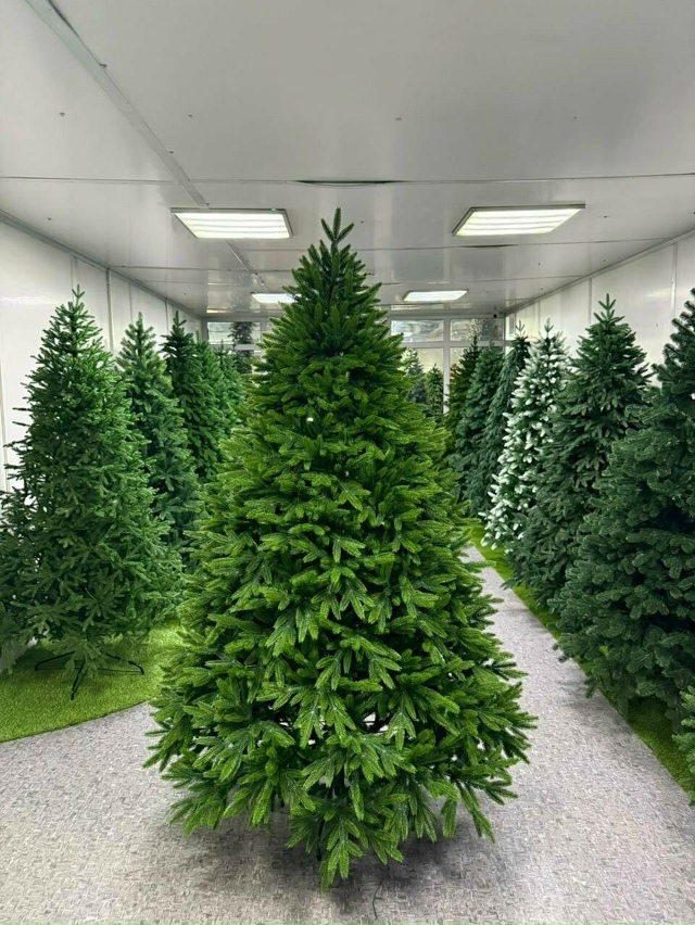 🎄В Самаре вырос спрос на аренду елок
В преддверии но?...