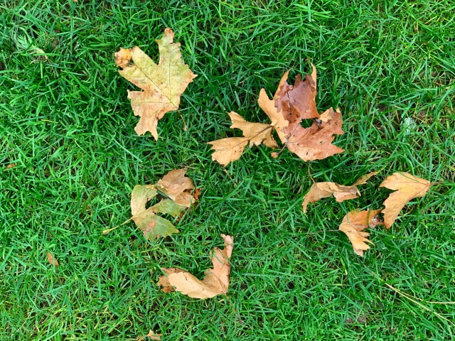 Ноябрь в Ялте. Просто фото на телефон.