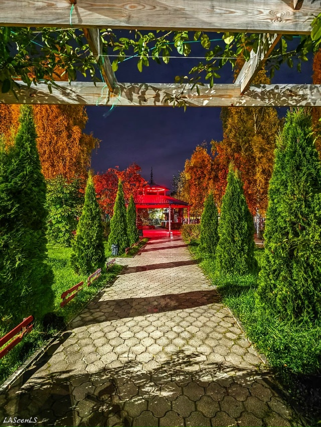 Октябрьский парк культуры и отдыха.
Фото: Юрий Жарков