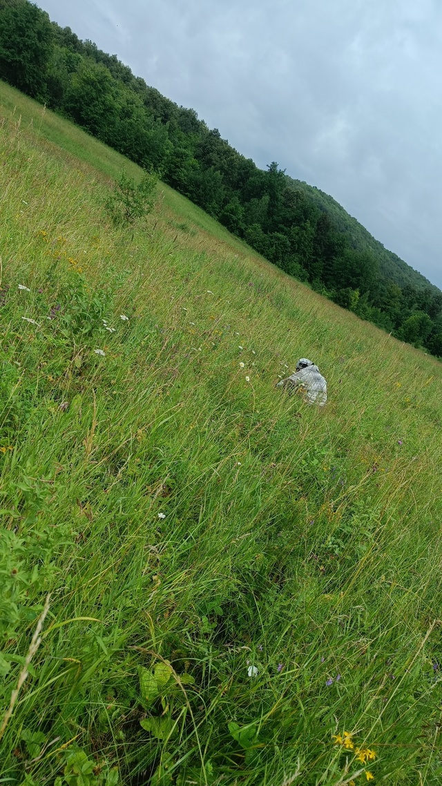 Ягодный поход с подругой, который стал путешествием во...