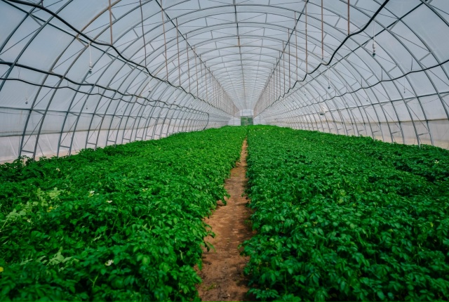 Наш тепличный комплекс ООО «Гарден Лаб» расширяется и ...