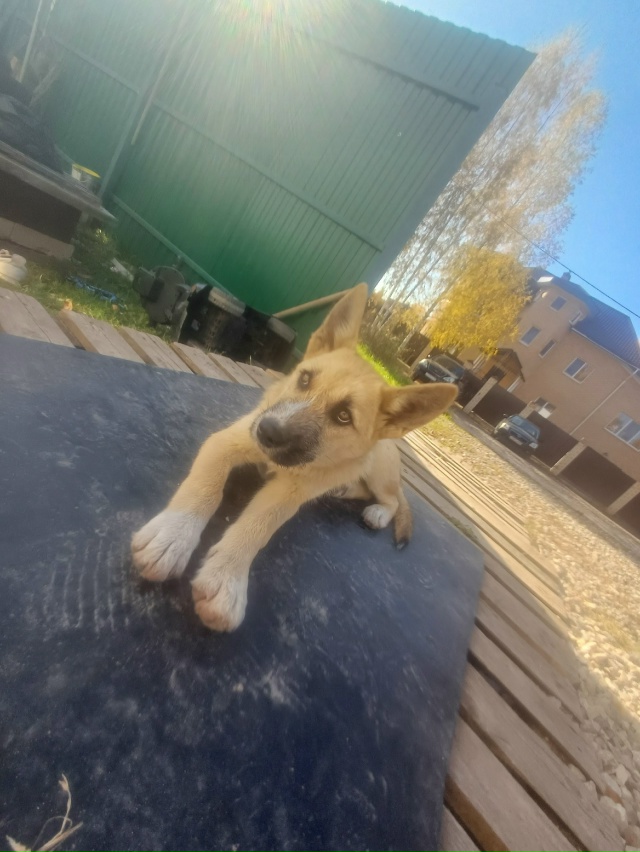 Необычно ласковая и добрая девочка , которая нуждается...