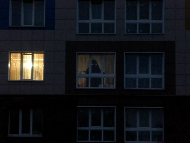 ❗️За слишком шумные любовные утехи можно получить шт?...