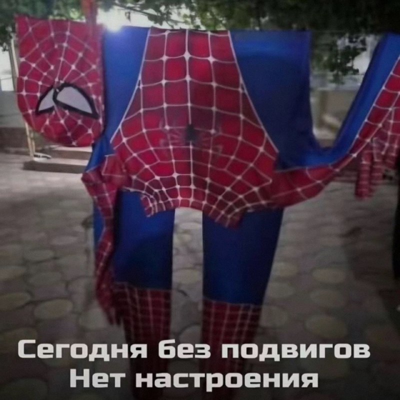 Ночная подборочка
Спать, режим