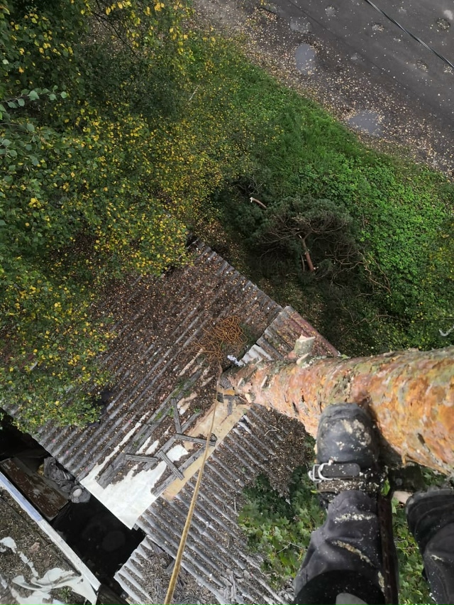 Спил деревьев любой высоты и сложности. Рядом с домом, ?...