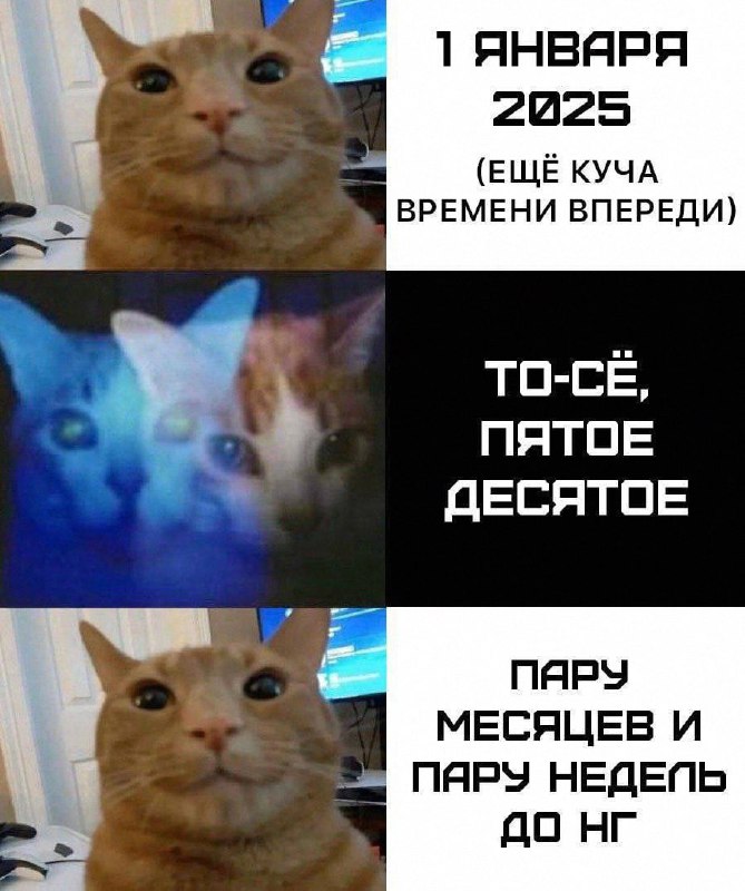 Утренняя подборочка