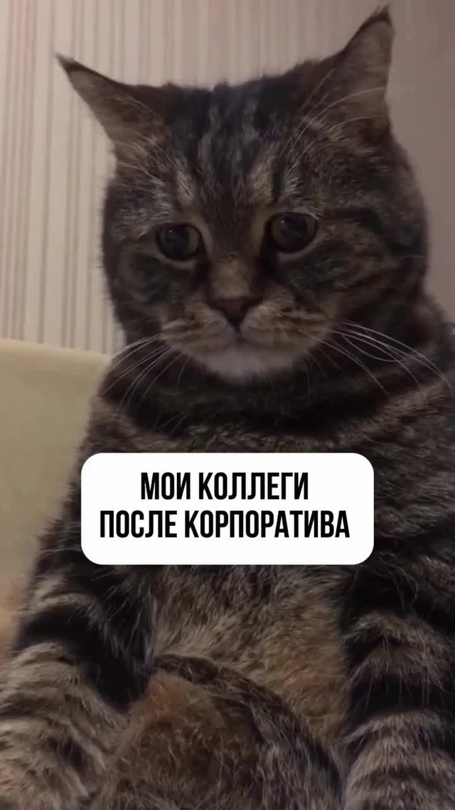 Просто типичные коллеги после корпоратива!