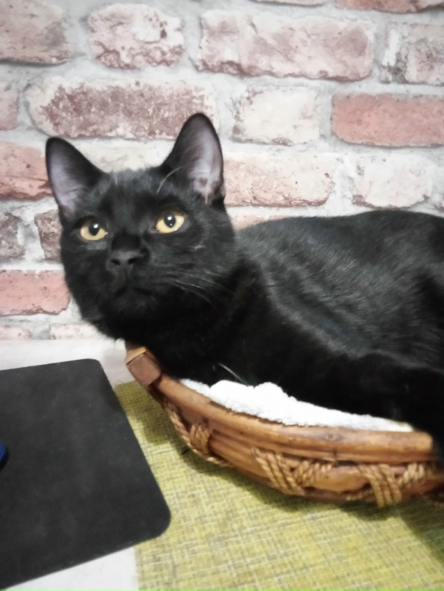 Из гадкого утёнка в чёрного принца 😍 особенный Малеви...