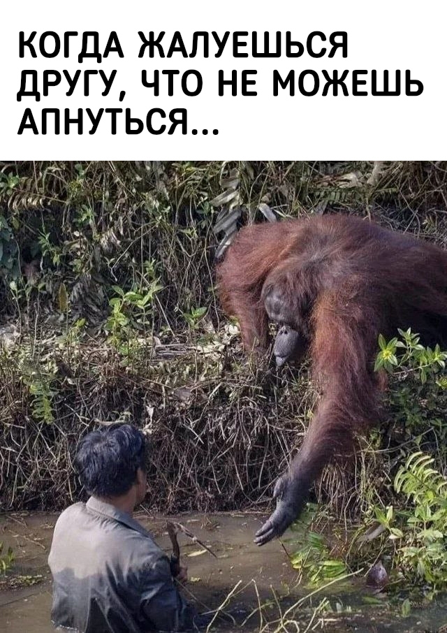 Кажется, система 50% специально тестирует на прочность.