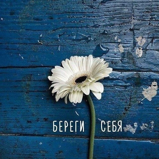 Беpеги сeбя.