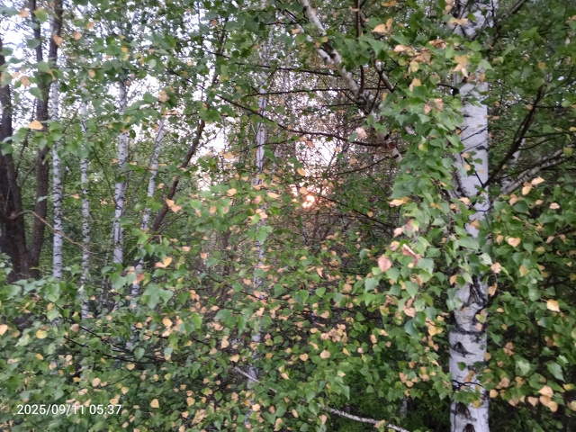 Первый луч
Я встану утром на угоре -
Там первый луч про?...