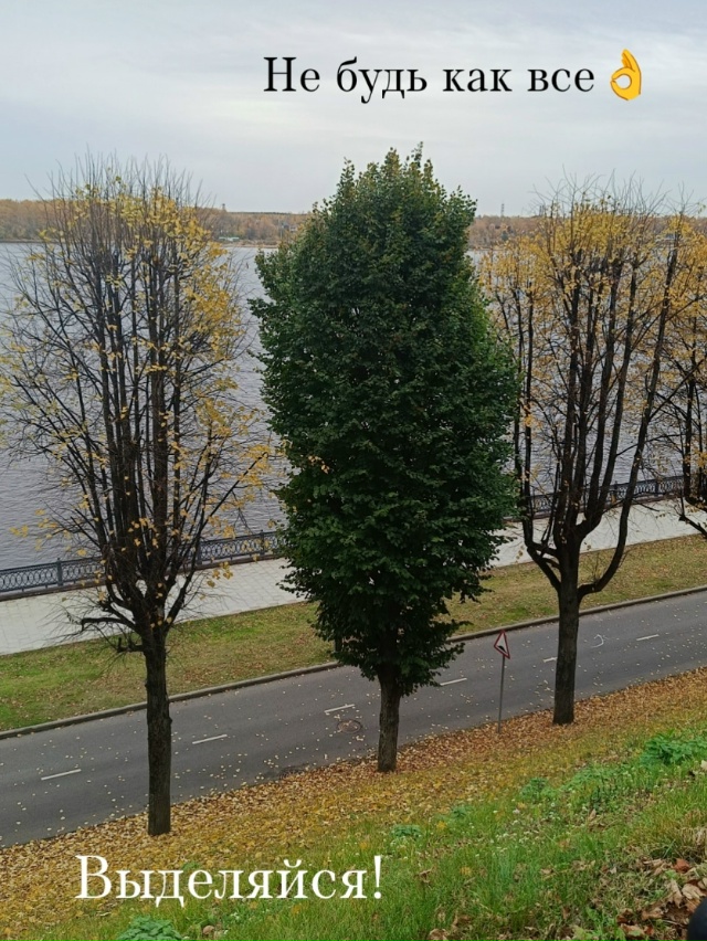 В то время как его 