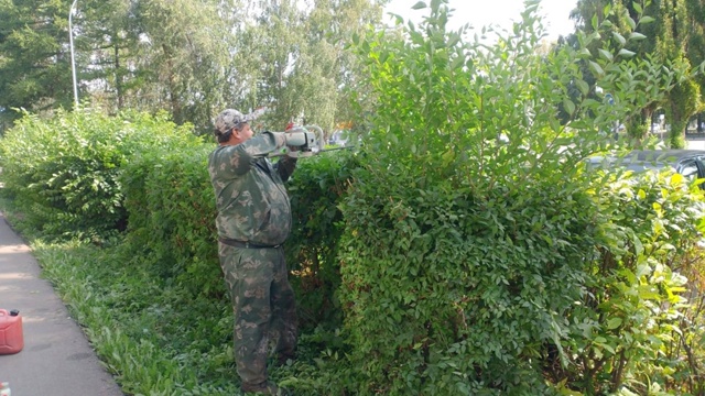 В Салавате полным ходом идет стрижка кустарников🌳 Р?...