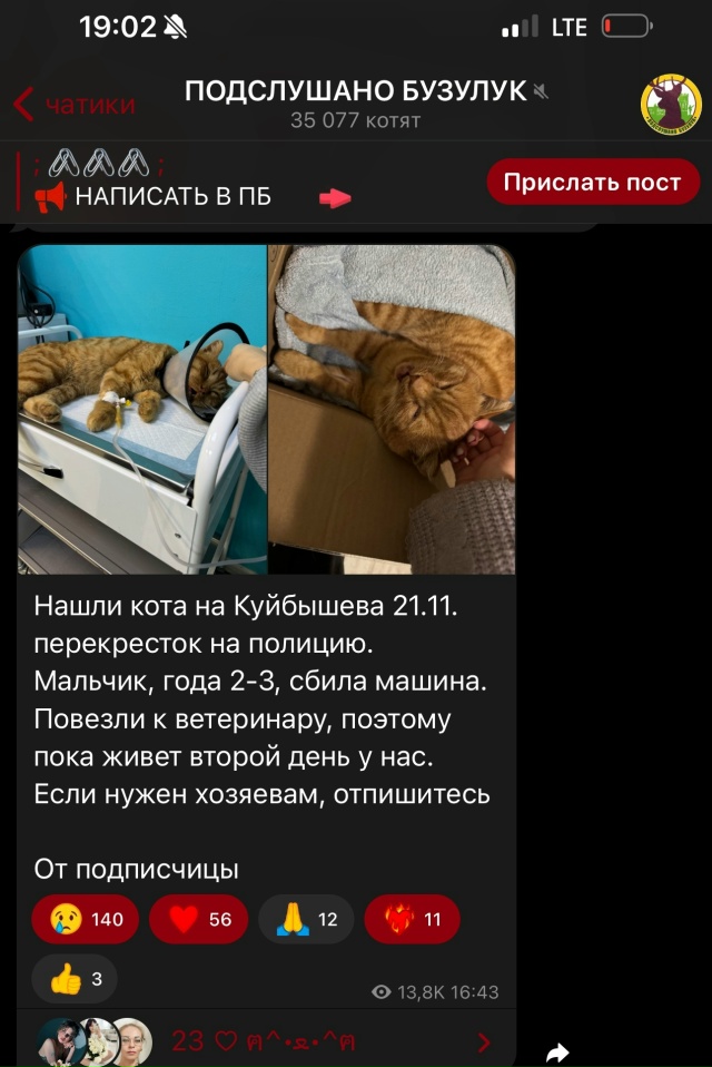 Кто помнит недавнее объявление про этого котика.
Всем...