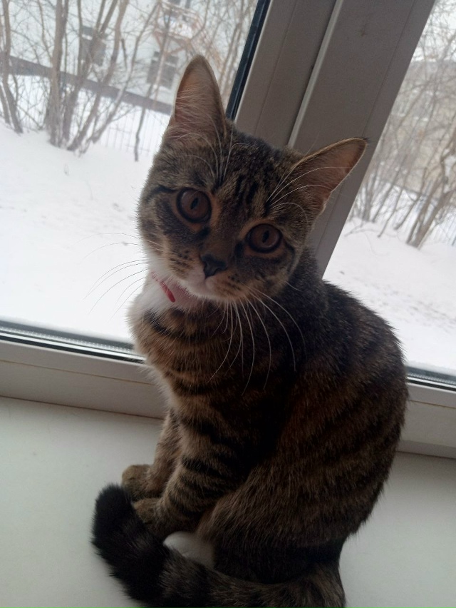 Ежедневно в 21 час по местному времени Ваши вопросы.
1⃣ ...