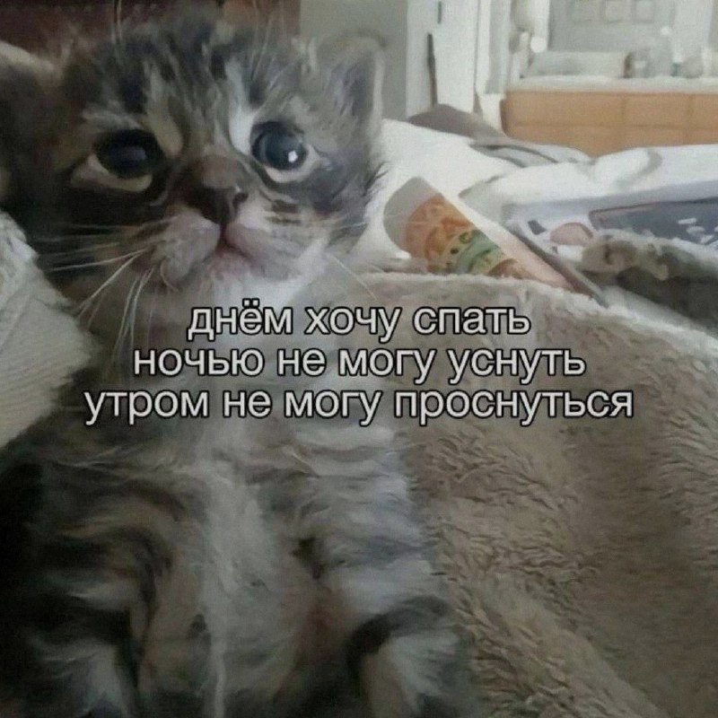 Ночная подборочка
Спать, режим