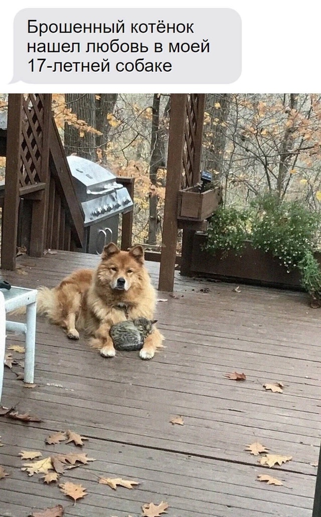 И так сразу приятно на душе...