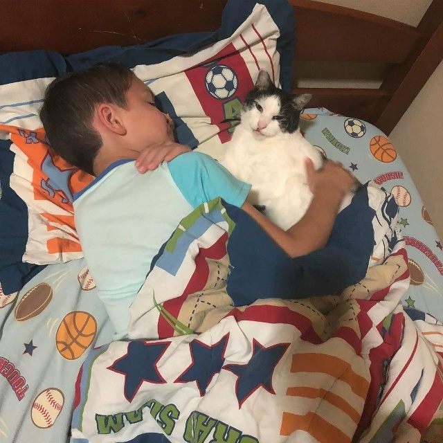 Это одна из тех историй, которые невозможно читать без ...