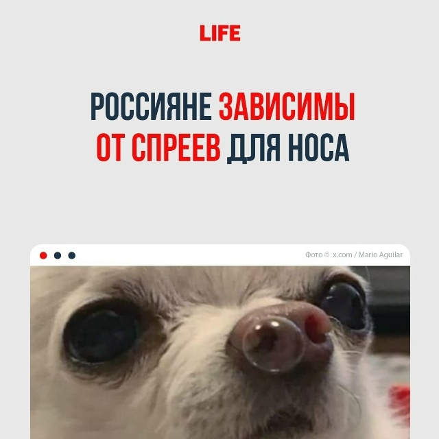 По стране идёт повальная зависимость от назальных спр?...