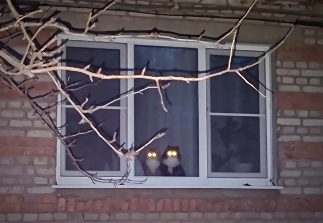 Соседи, ждут своих кожаных