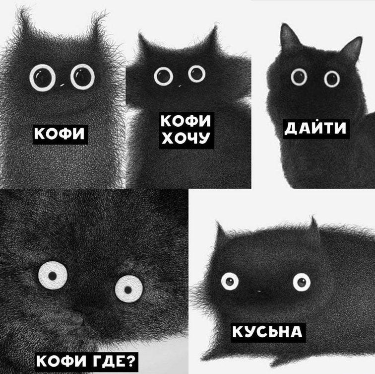Употребление пяти чашек кофе в день признали безопасным исследователи Американской ассоциации изучен