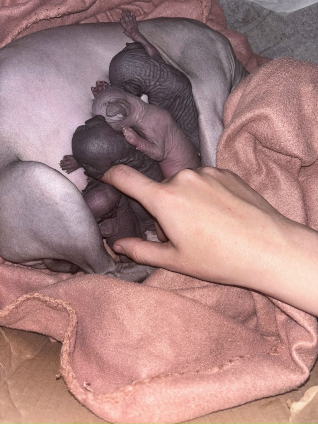 Растут детки наши❤️