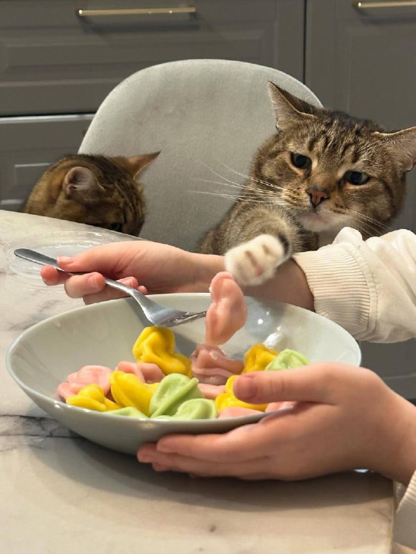 Пелбмешки, зочем вы дурманите меня?????