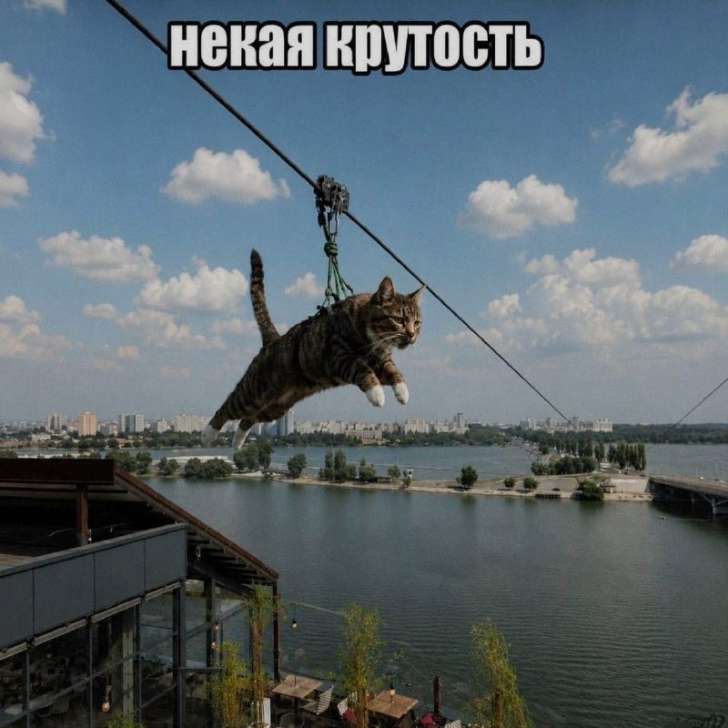Ночная подборочка
Выходные, не спим