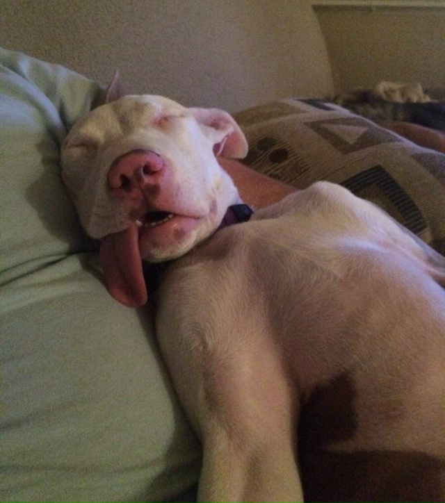 ‼️У любителей долго спать риск смерти на 34% выше, — ис?...