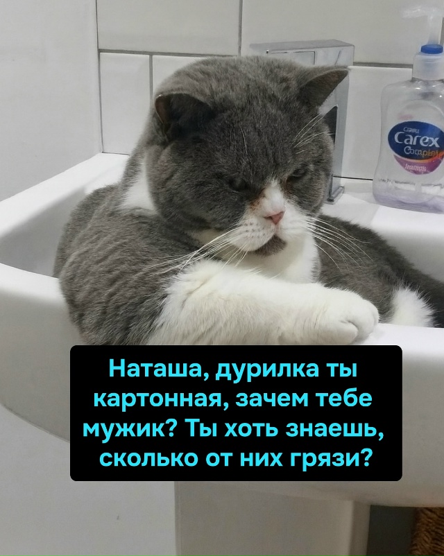 Наташа, мужик — это не только романтика, но и носки, веч...