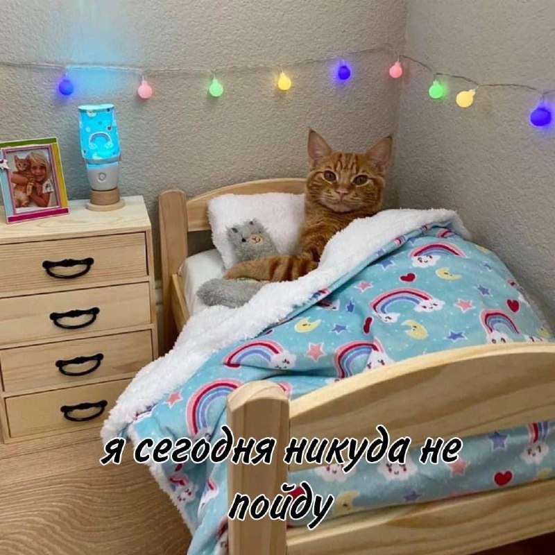Утренняя подборочка