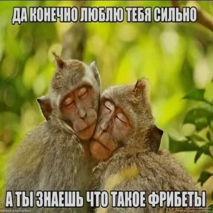 Ночная подборочка
Выходные, не спим