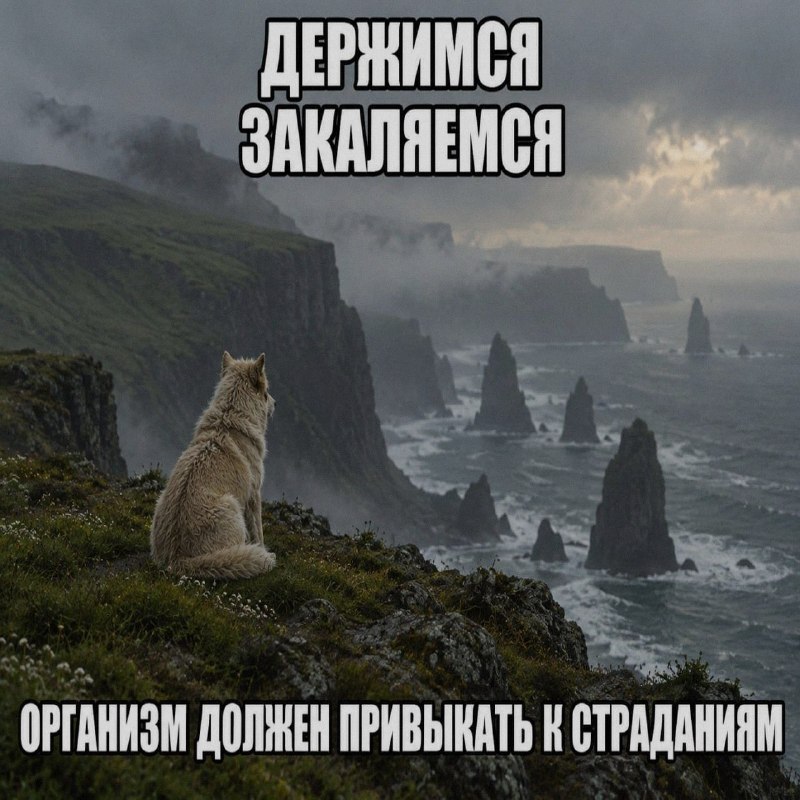 Ночная подборочка
Спать, режим