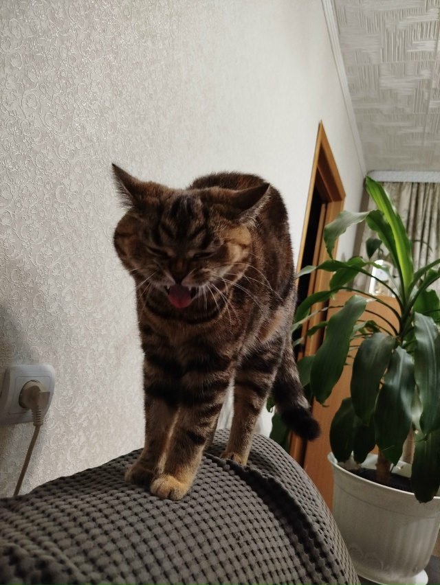 Просыпаемся 🥱