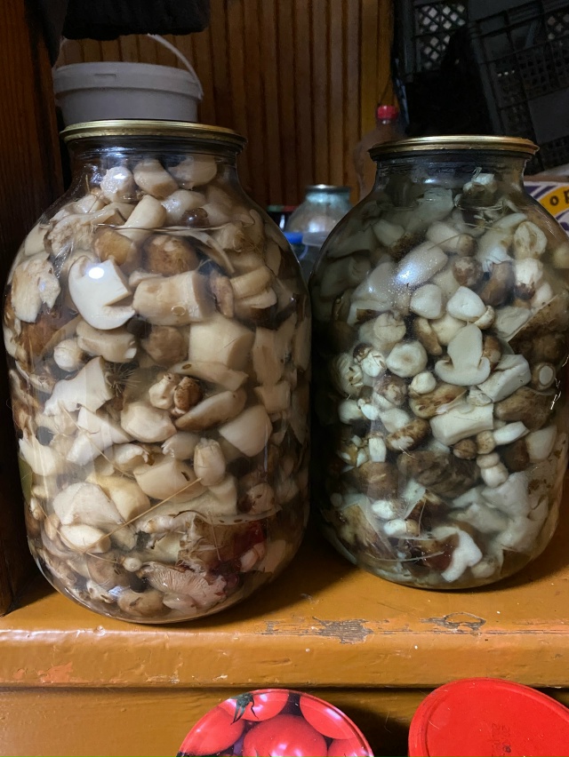 Продам соленые валуи 89023657876