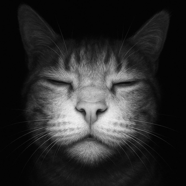 гуманои... hd качество......