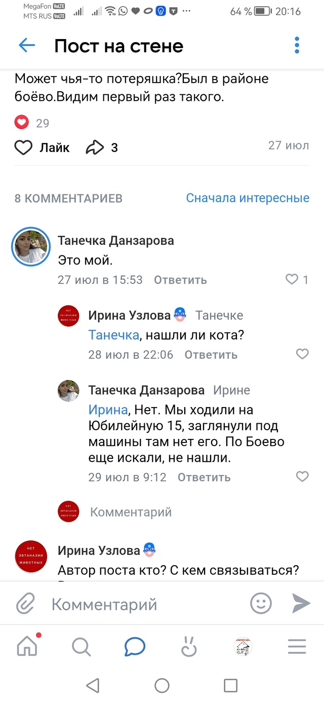 Был пост про белого кота. Под постом был комментарий хо...