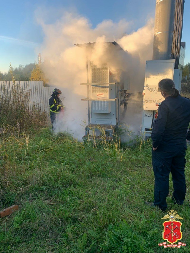 В Питере 12-летняя школьница подожгла вышку сотовой свя...