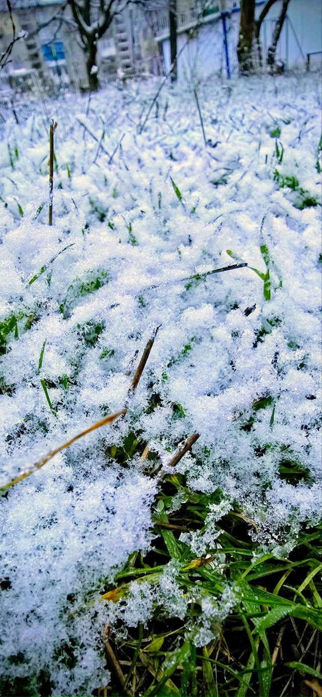 Всех с первым снегом ⛄️
Фото от подписчицы