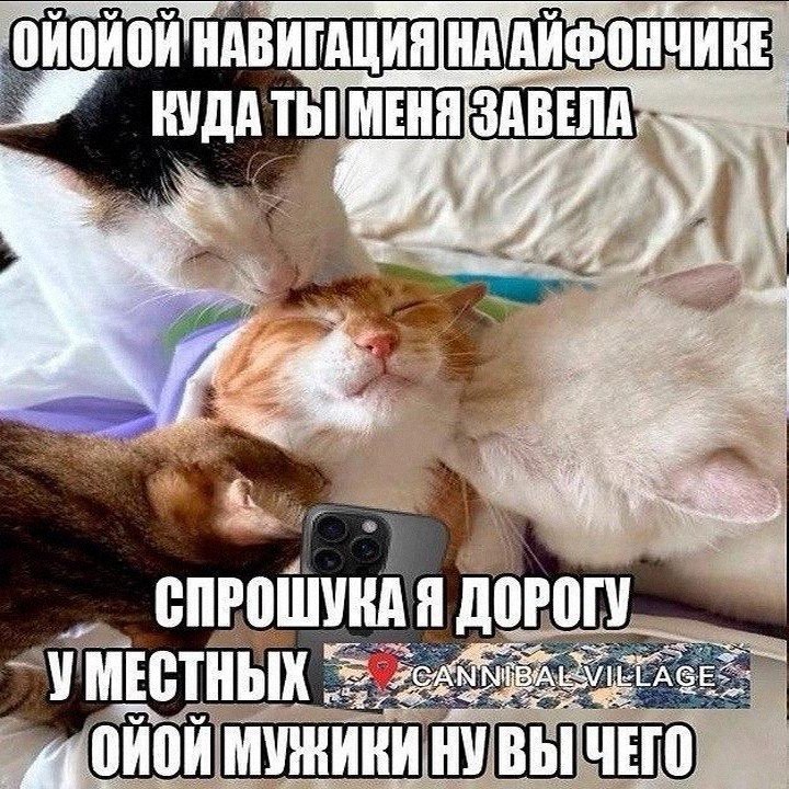 Утренняя подборочка