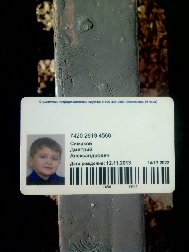 У теряна проездная карта Симаков Дмитрий Александрови...
