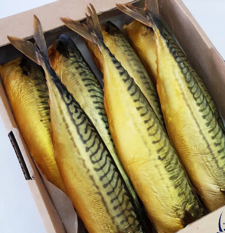 Самый новогодний маникюр нашли в соцсетях — с такими ноготочками можно покорить любого парня
Если н