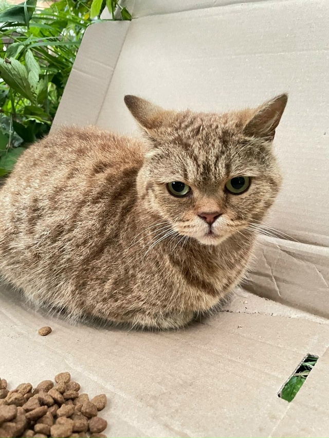 МО ,г.Орехово-Зуево !
Очередное предательство-выбросил?...