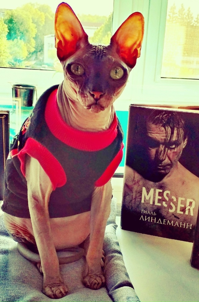 Его величество Мефистофель