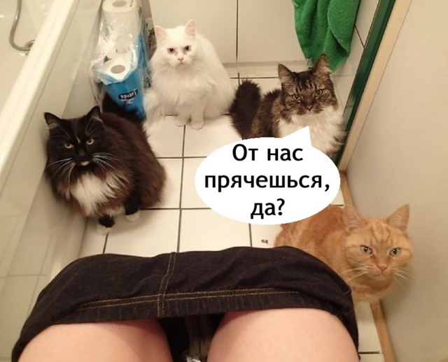 Когда ты сильный и не зависимый