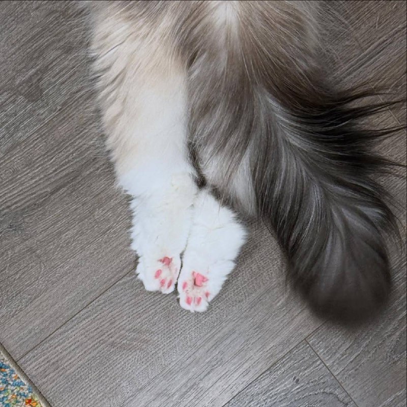 Кудя смотреш