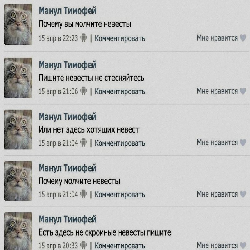 Ночная подборочка
Выходные, не спим