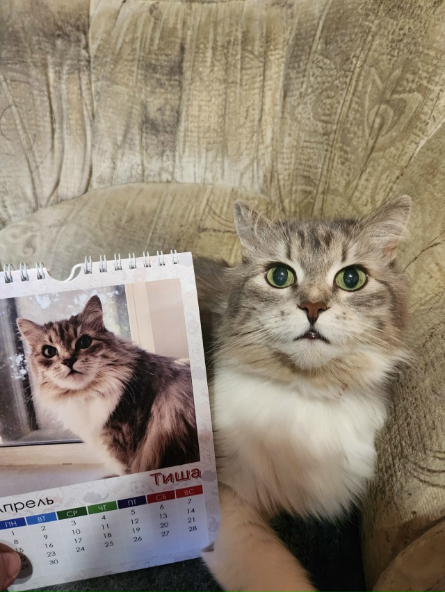 Тиша: А у Вас есть свой календарик????