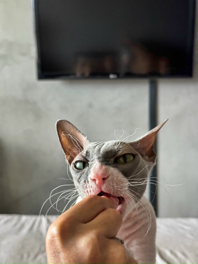 Случилась Стичевая фотосессия 💔